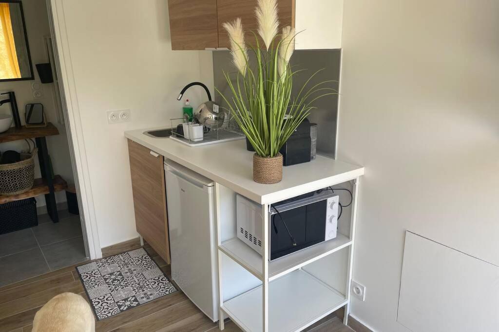 Studio Collobrieres Vue Sur Village Zewnętrze zdjęcie